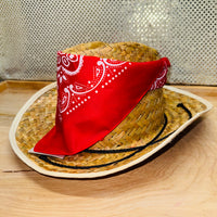 Cowboy Hat Basket w/bandana