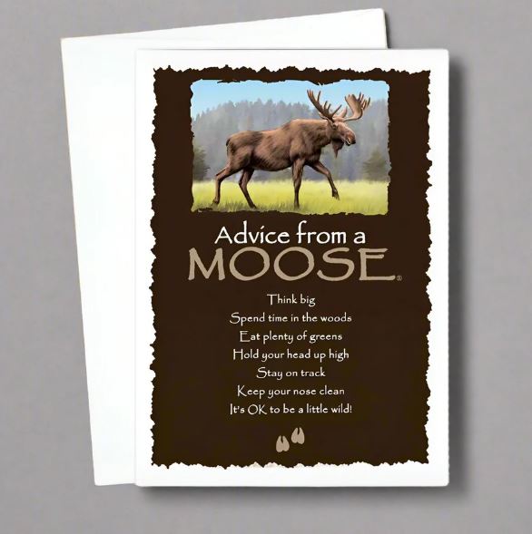 Ski, Mountain-themed & Colorado Landscape Cards