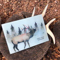 
              Elk Tempered Glass Cutting Board
            