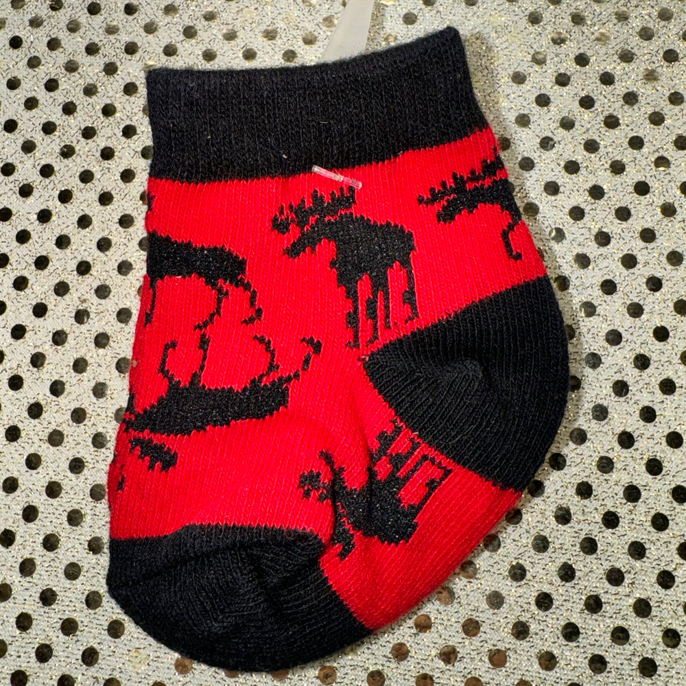 Moose on Red Socks