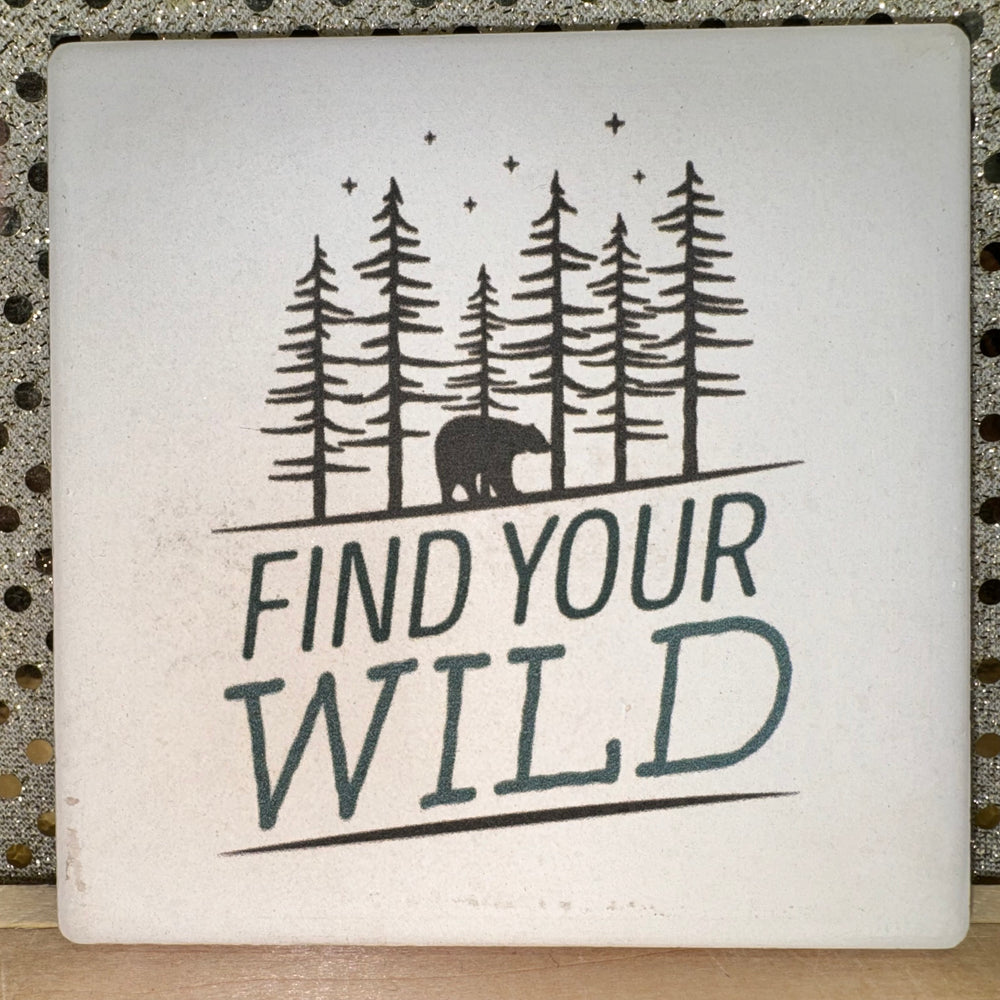 Find Your Wild Sandstone Coaster