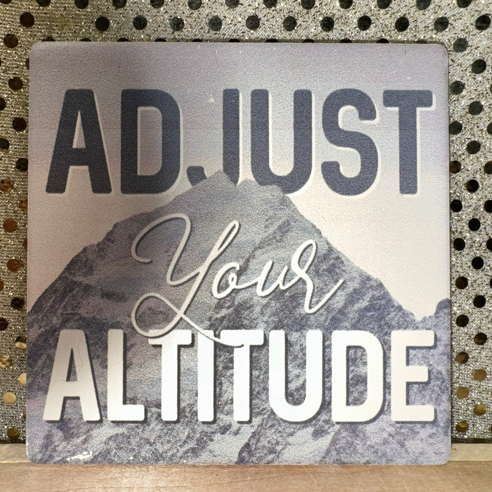 Adjust Your Altitude Sandstone Coaster