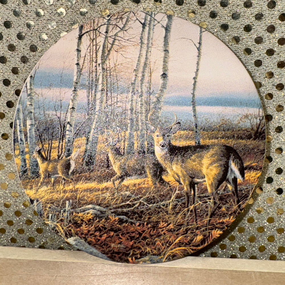 Deer in the Woods Coaster Set of 4