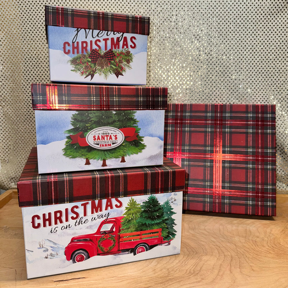 XL Nested Boxes - Christmas is on the Way Christmas Trees