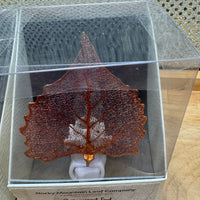 
              Real Leaf Night Light - Aspen or Cottonwood Leaf
            