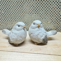 
              Snowy Winter Bird
            