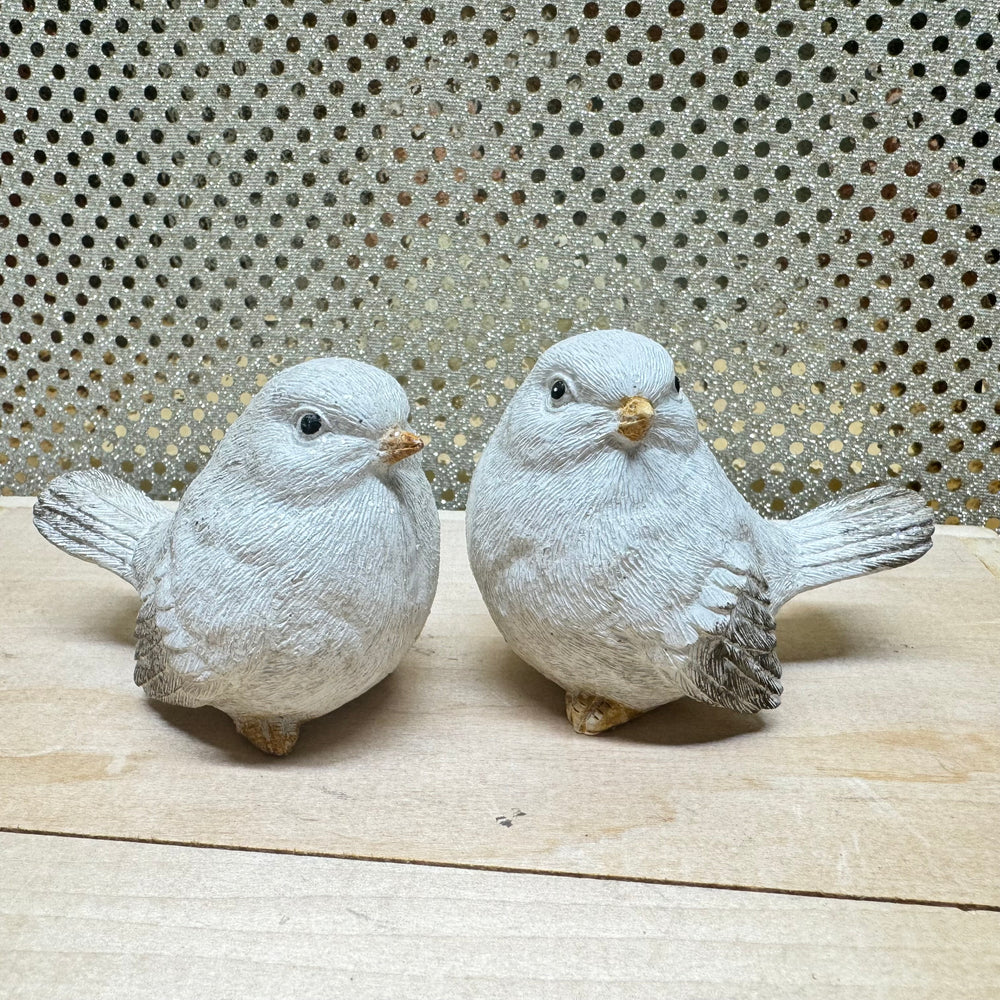 Snowy Winter Bird