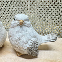 
              Snowy Winter Bird
            