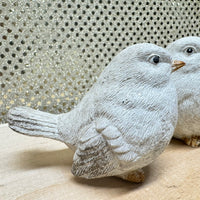 
              Snowy Winter Bird
            