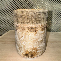 
              Birch Pillar Candle (3 varieties)
            