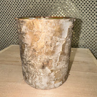 
              White Birch Scent Candle 7.5oz
            