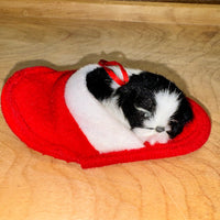 
              Dog in Slipper Ornament
            