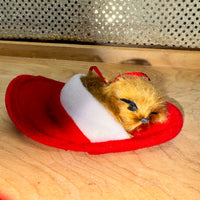 
              Dog in Slipper Ornament
            