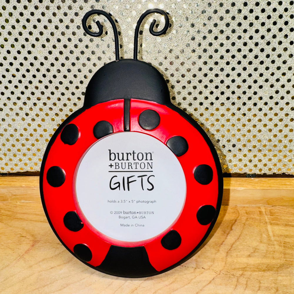 Ladybug Photo Frame