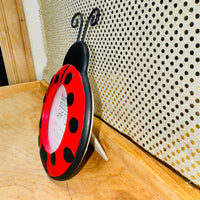
              Ladybug Photo Frame
            