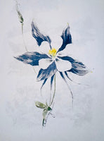 
              Charmayne's Originals - Colorado Columbine
            