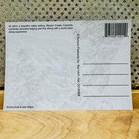 
              Vail, Beaver Creek & Avon Postcards
            