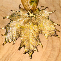Real Leaf Ornament - Cottonwood / Maple Leaf