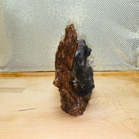 
              Bear Basking on Log Holding Fish Figurine
            