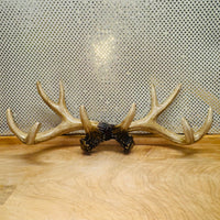 
              Antlers Coat Rack
            
