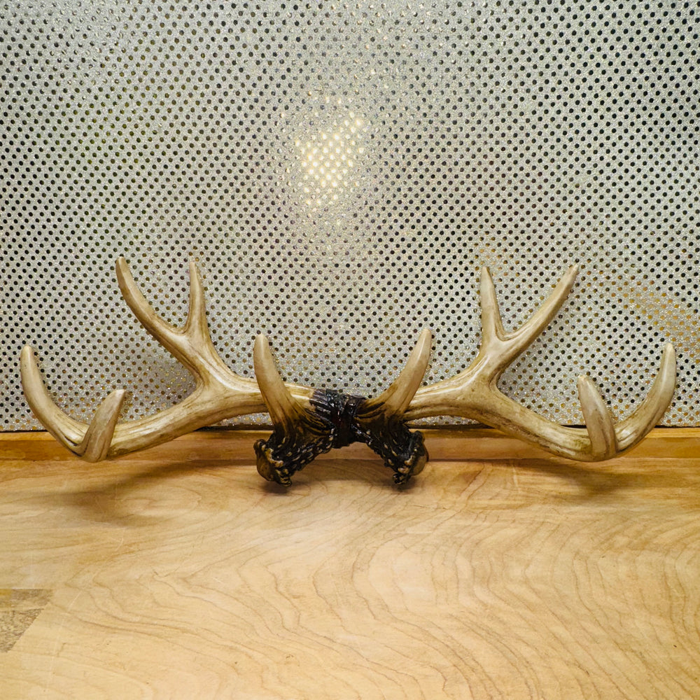 Antlers Coat Rack