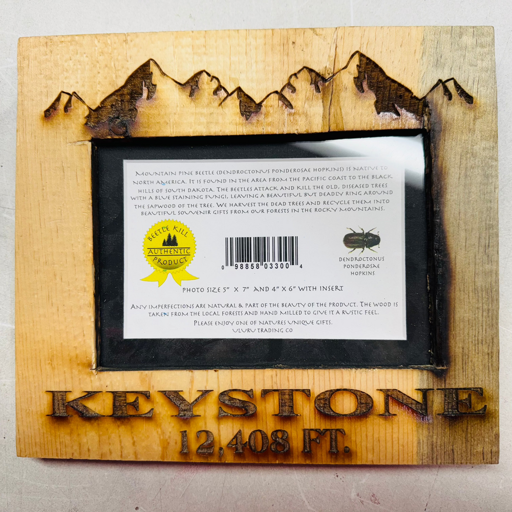 Keystone Picture Frame
