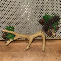 Antler and Pine Cones Key Holder - 4 hooks
