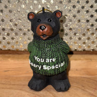 
              You are Beary Special Bear Ornament
            