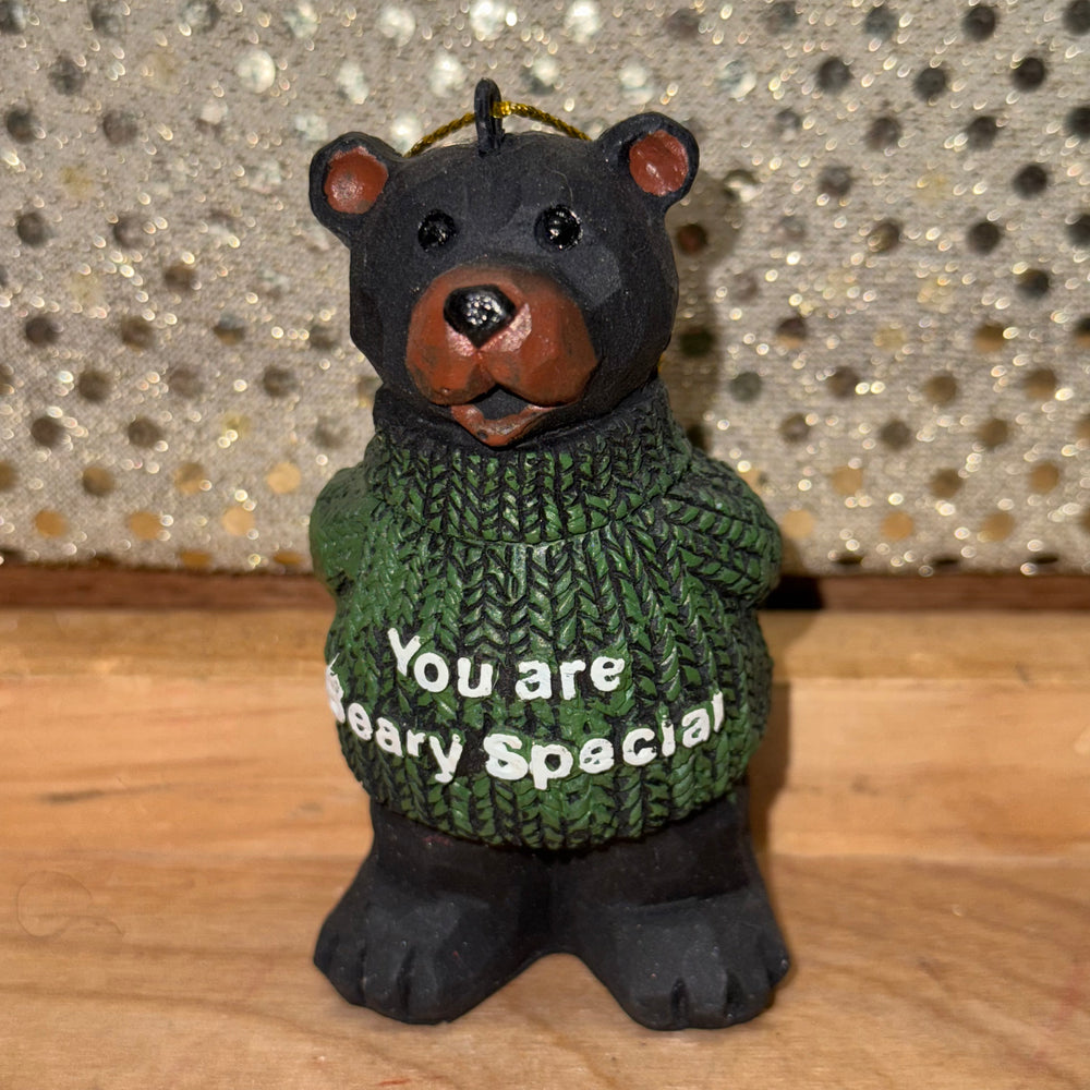 You are Beary Special Bear Ornament