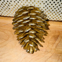 
              Glitter Pine Cone Ornament
            