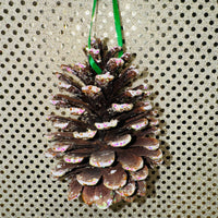 
              Real Pine Cone Ornament
            