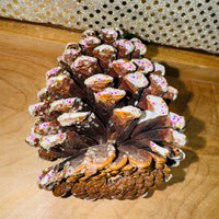 
              Real Pine Cone Ornament
            