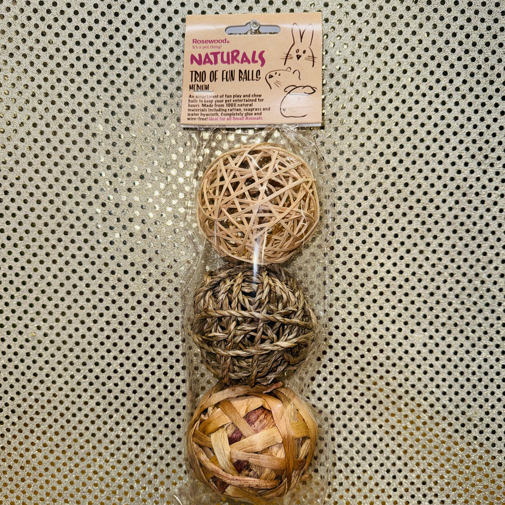 Pet Busy Balls