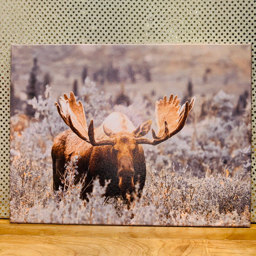 Moose Print on Canvas