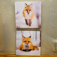 
              Fox Print on Canvas
            