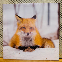 
              Fox Print on Canvas
            