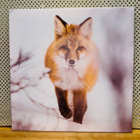 
              Fox Print on Canvas
            