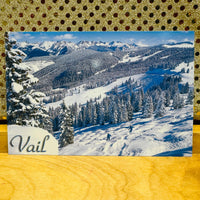 
              Vail - North East Bowl
            