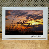 
              Wetland Sunset Card
            