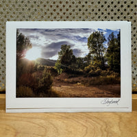 
              Trees and Trail Card
            