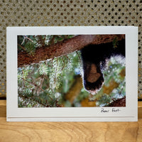 
              Bear Foot Card
            