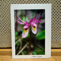
              Lady Slipper Card
            