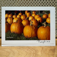 
              Pumpkins Card
            