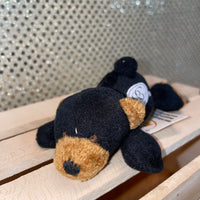 Beaver Creek Bear Plush Magnet