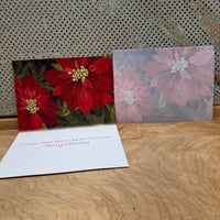 
              Poinsetta Holiday Card
            