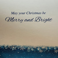 
              Blue Ornaments Card
            