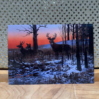
              Deer During Sunset Card
            