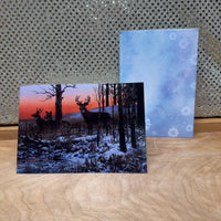 
              Deer During Sunset Card
            