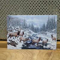 
              Seven Elk Card
            