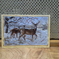 
              Deer by Trees Cards
            